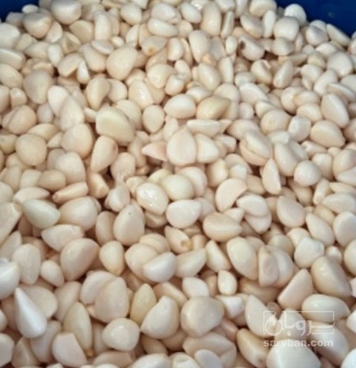 تصویر 1 از سیر مروارید همدان