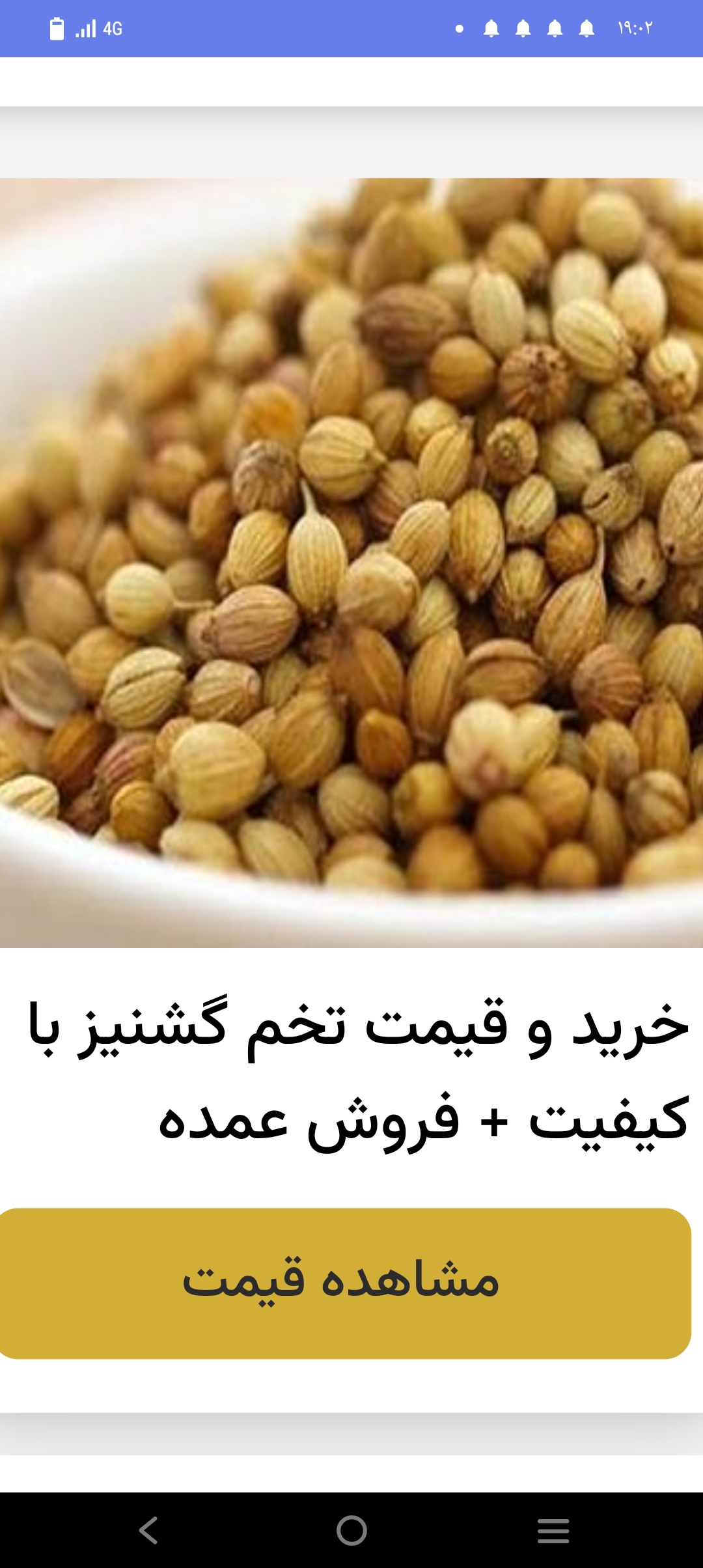 بذر گشنیز بی واسطه