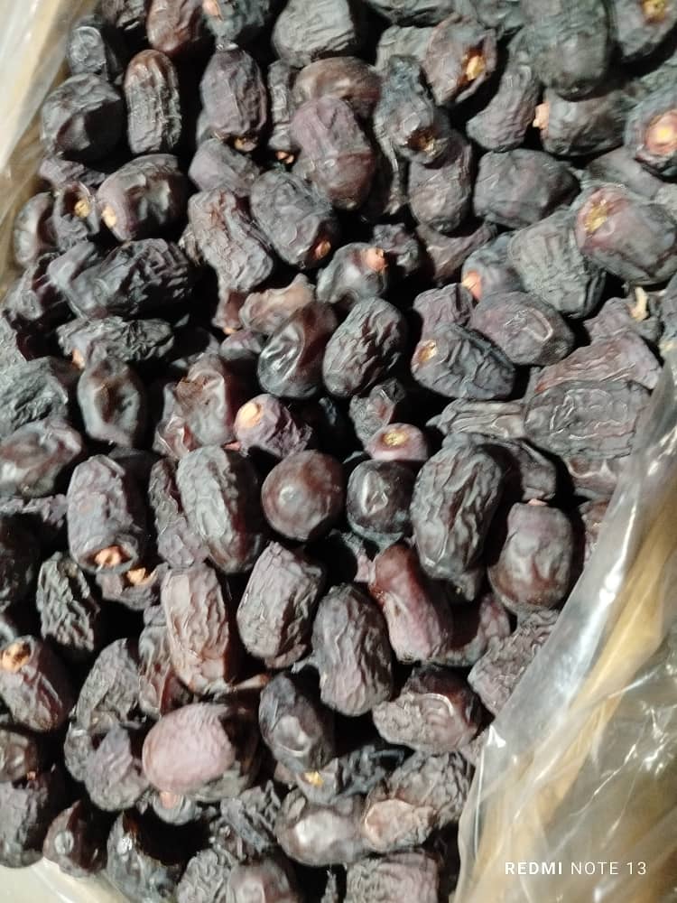 خرما ربی سیستان قیمت