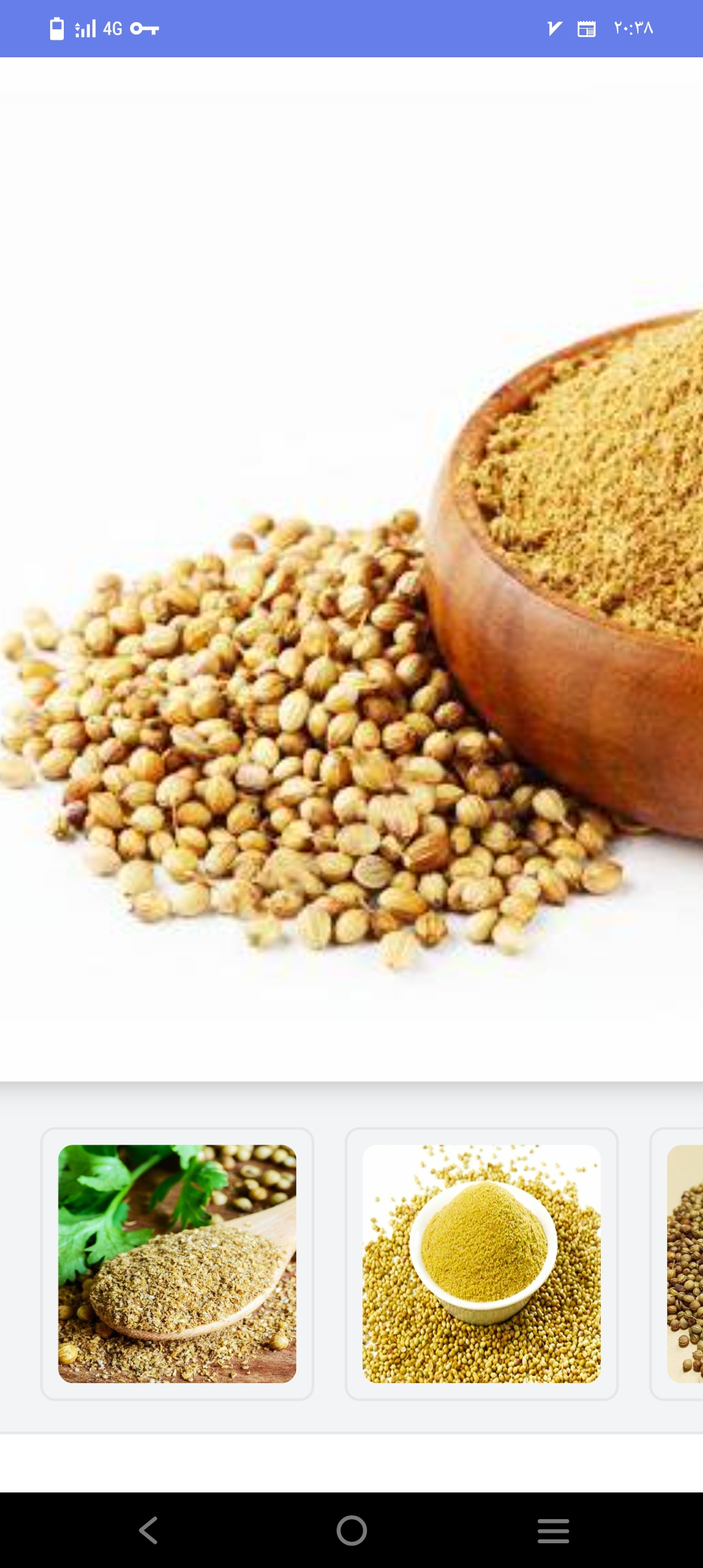 فواید و مضرات پودر تخم گشنیز برای بدن انسان