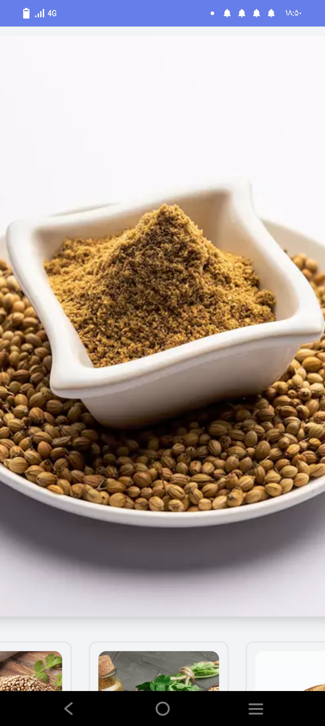 کاربرد عصار گشنیز