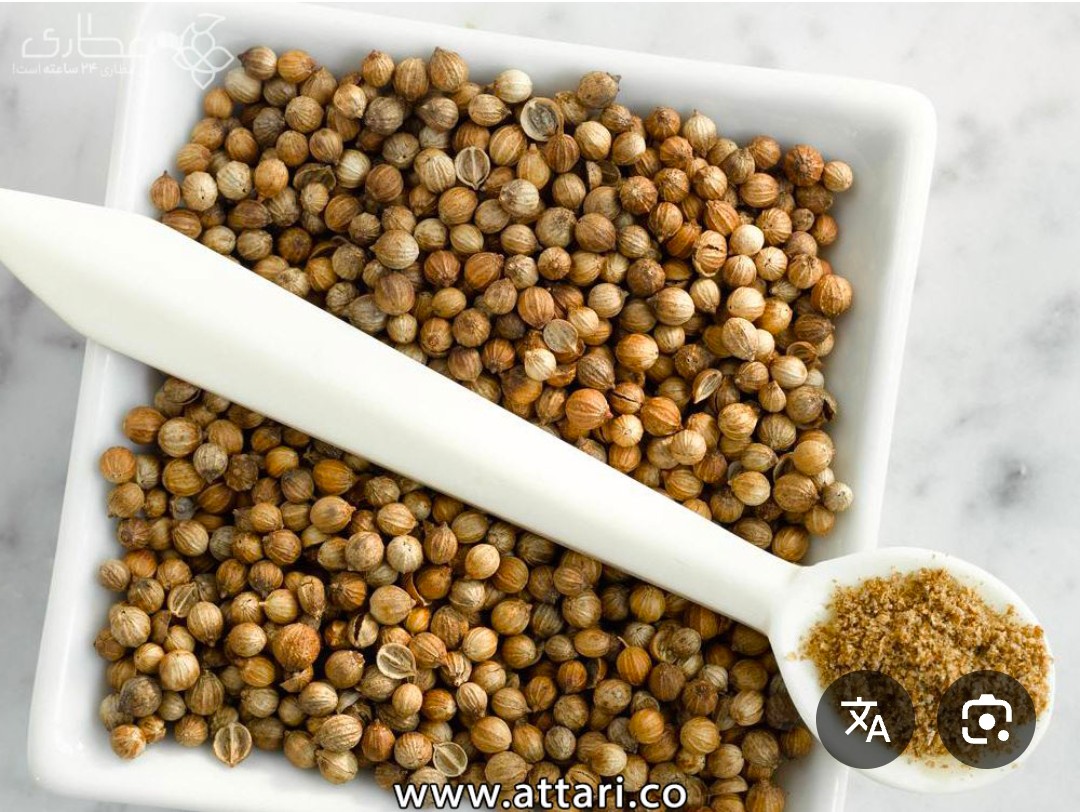تخم گشنیز خشک دارویی ضد نفخ و تقویت کننده معده