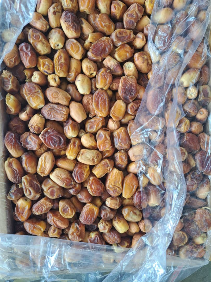 خرید و قیمت خرمای زاهدی پشتکوه + فروش عمده