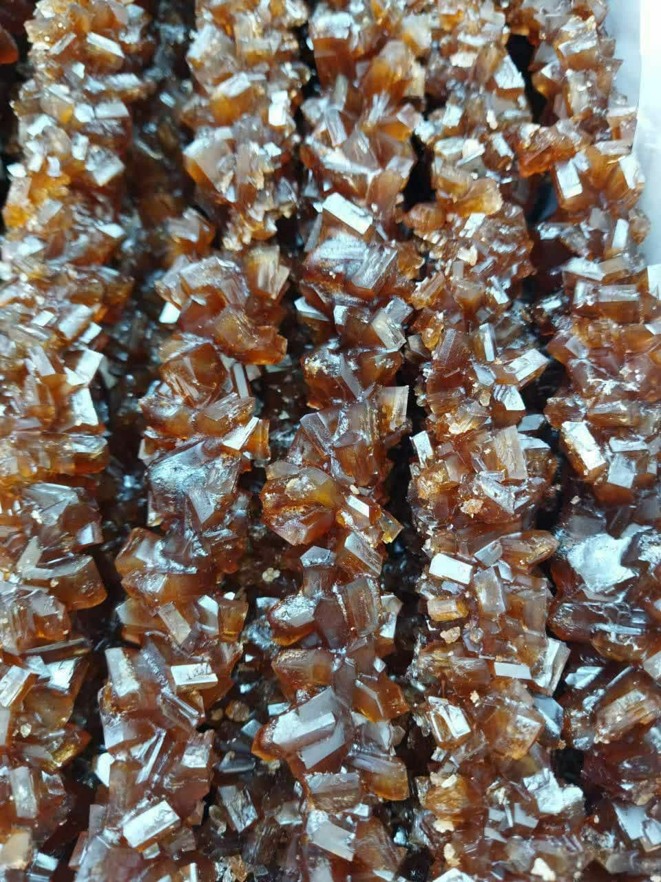 تصویر 3 از خرید نبات قهوه ای شاخه ای درجه یک + قیمت فله