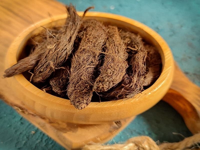 تصویر 5 از سنبل‌ الطیب  آرام‌ بخش قدرتمند طبیعت و گنجینه‌ای در طب سنتی