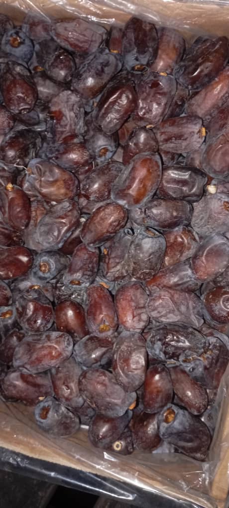 خرید خرمای کلوته درجه یک کهنوج + خرید مستقیم