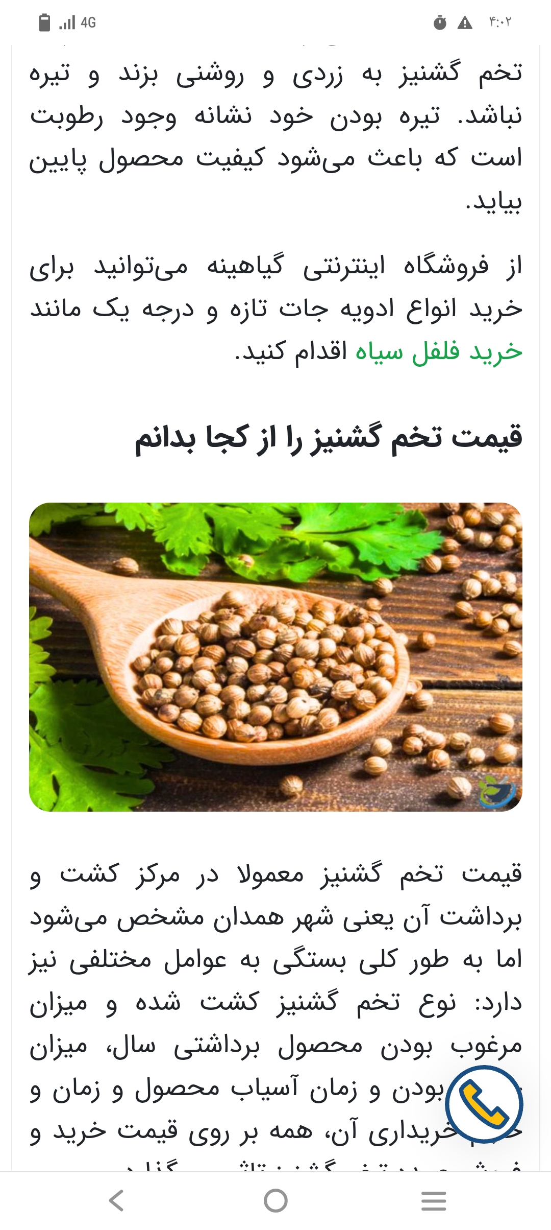 گشنیز ادویه طعم دهنده چاشنی خورشت