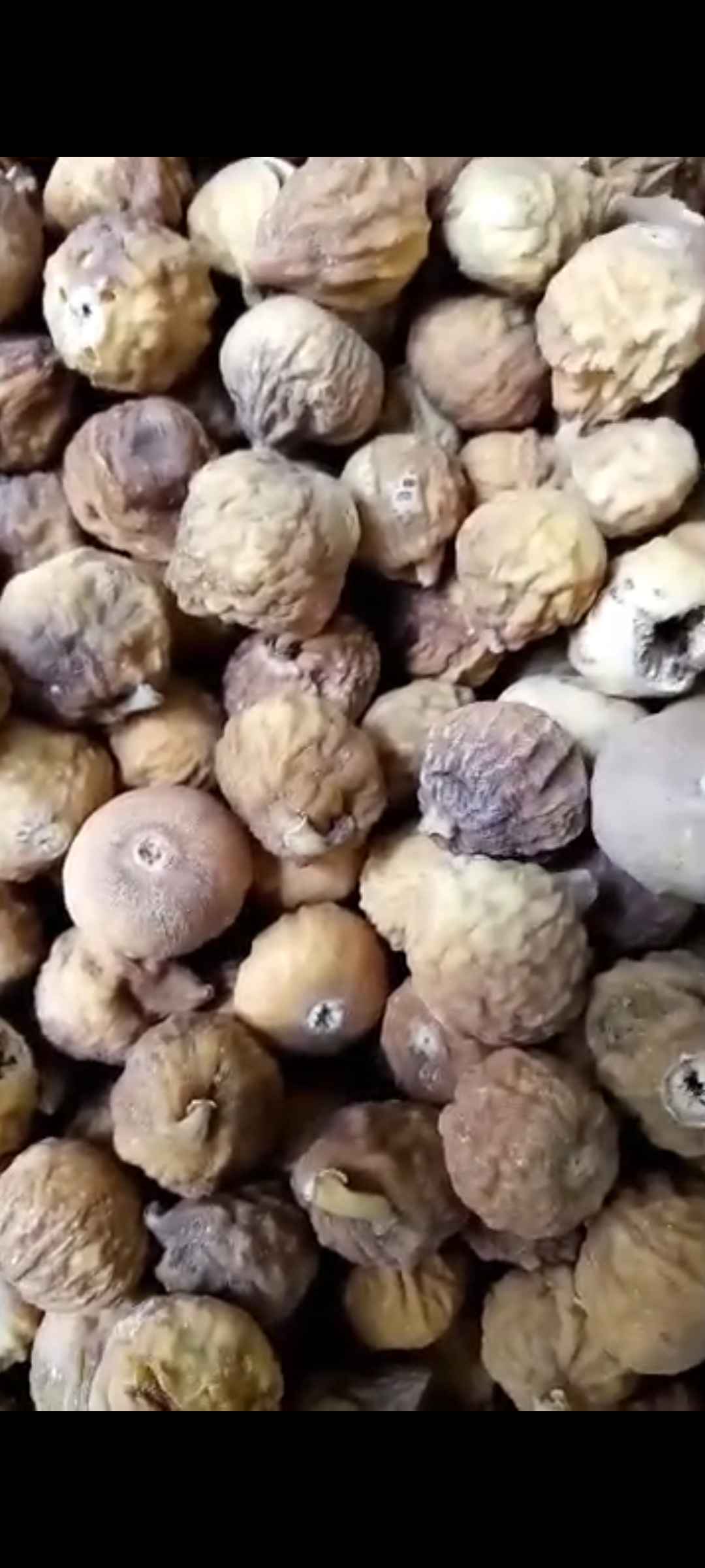 تصویر 5 از لیست خرید انجیرخشک آفتابی