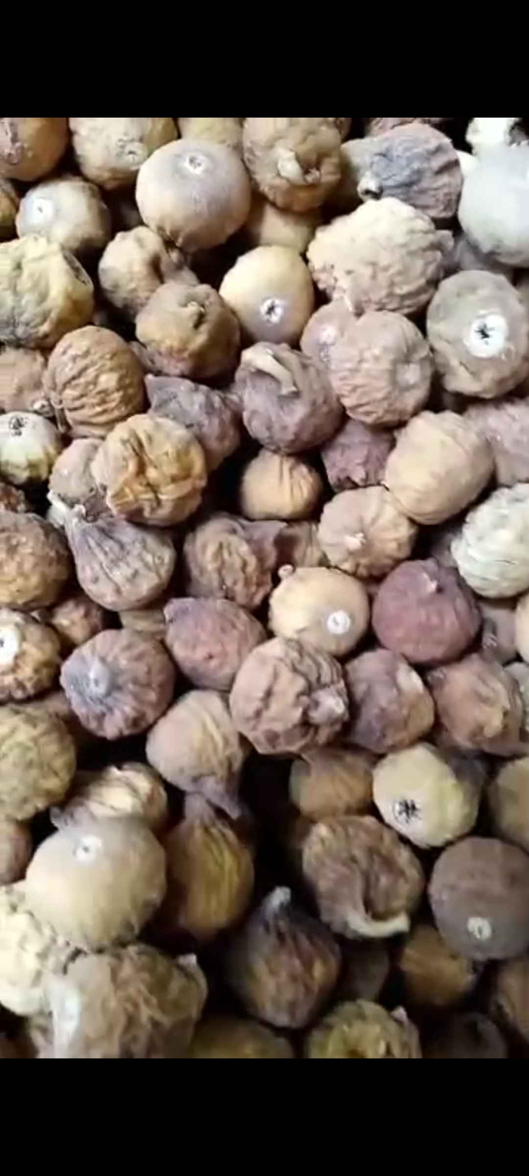 تصویر 3 از فروش استثنایی انجیر خشک + قیمت خرید