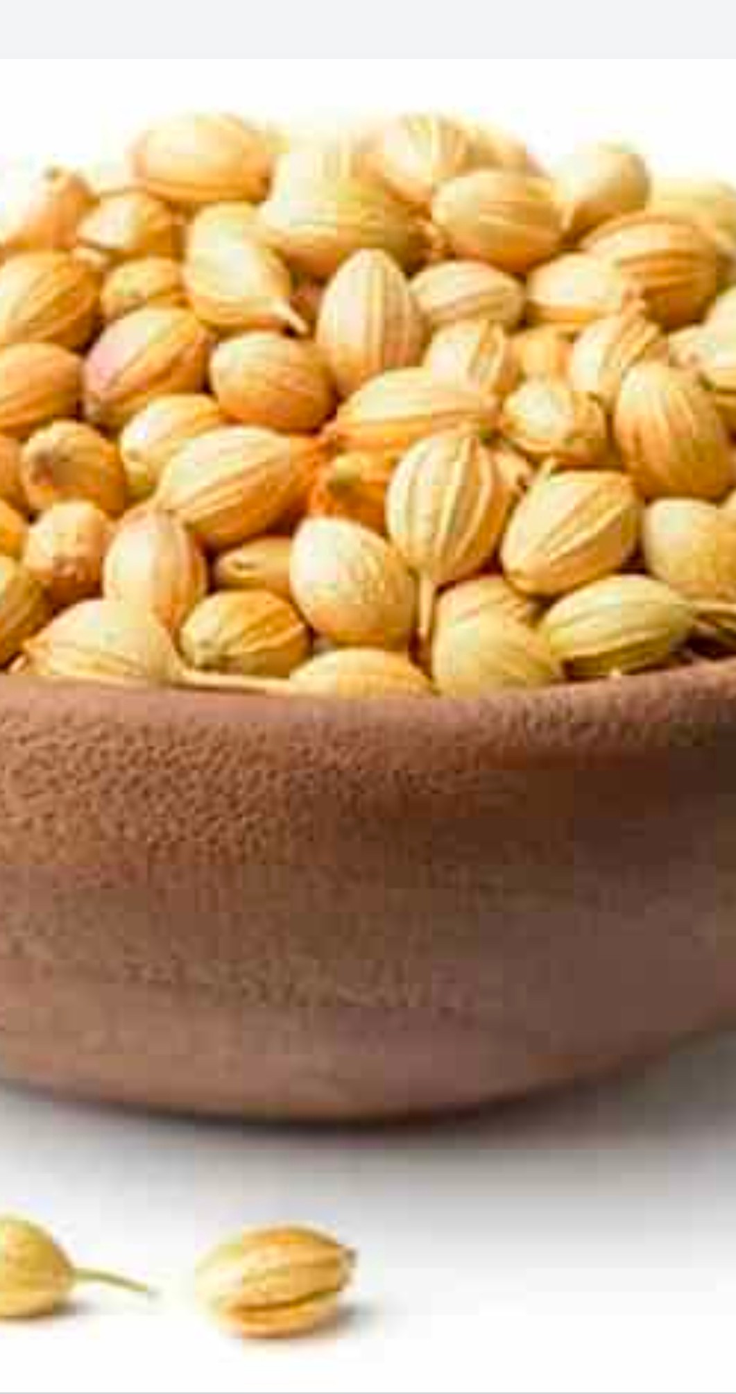 گشنیز گیاه درمانی آنتی اکسیدانی طبیعی