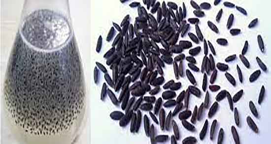 تصویر 3 از خرید بالنگوی شهری برای صنایع دارویی