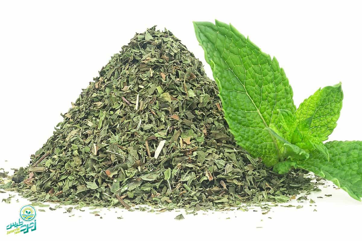 تصویر 2 از پونه کوهی دارویی با عطر ماندگار
