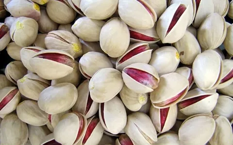 تصویر 2 از قیمت خرید پسته سفید خراسان با فروش عمده