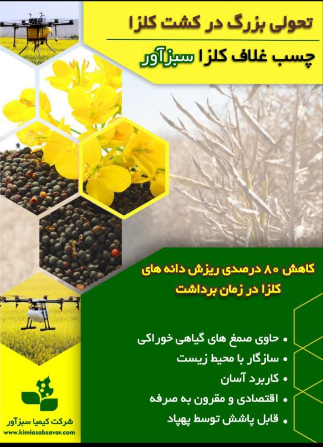 تصویر 1 از چسب غلاف کلزا کاهش دهنده مؤثر ریزش دانه های کلزا