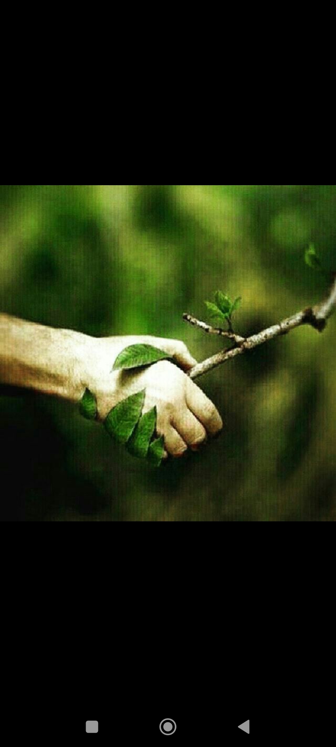 تصویر 1 از حشره کش ارگانیک قیمت