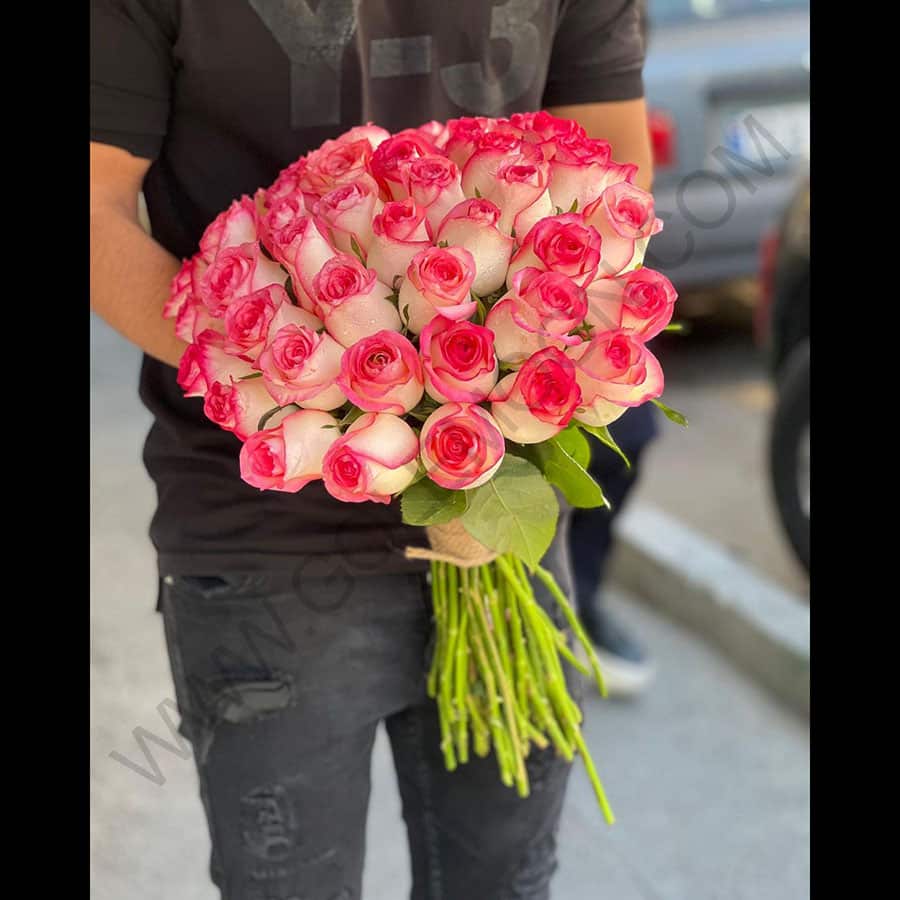 تصویر 2 از قیمت گل رز هلندی شاخه‌ بریده سفید