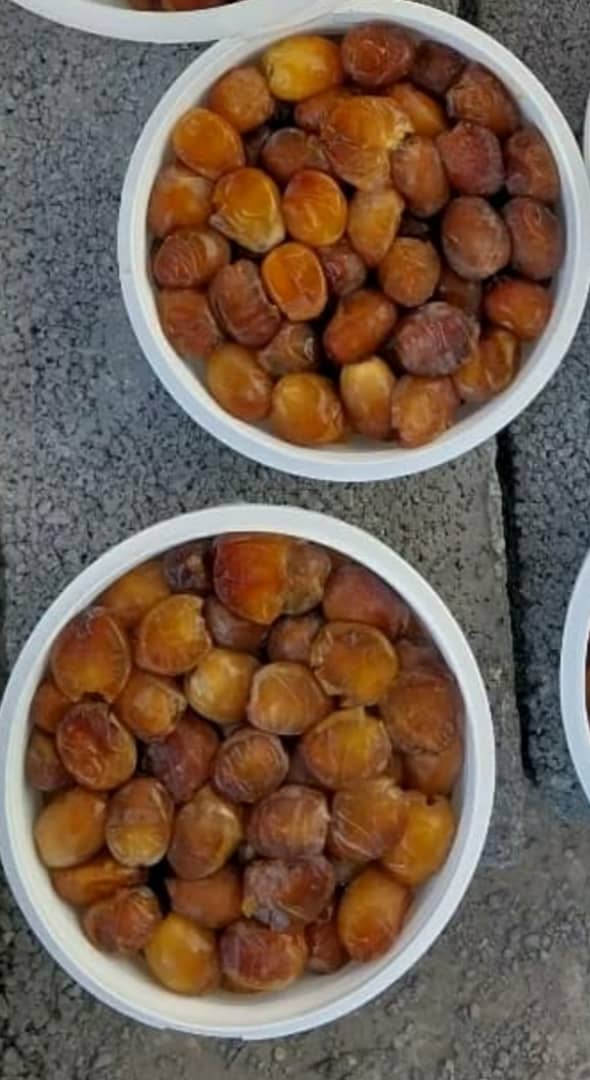 تصویر 4 از خرمای برحی ممتاز قیمت