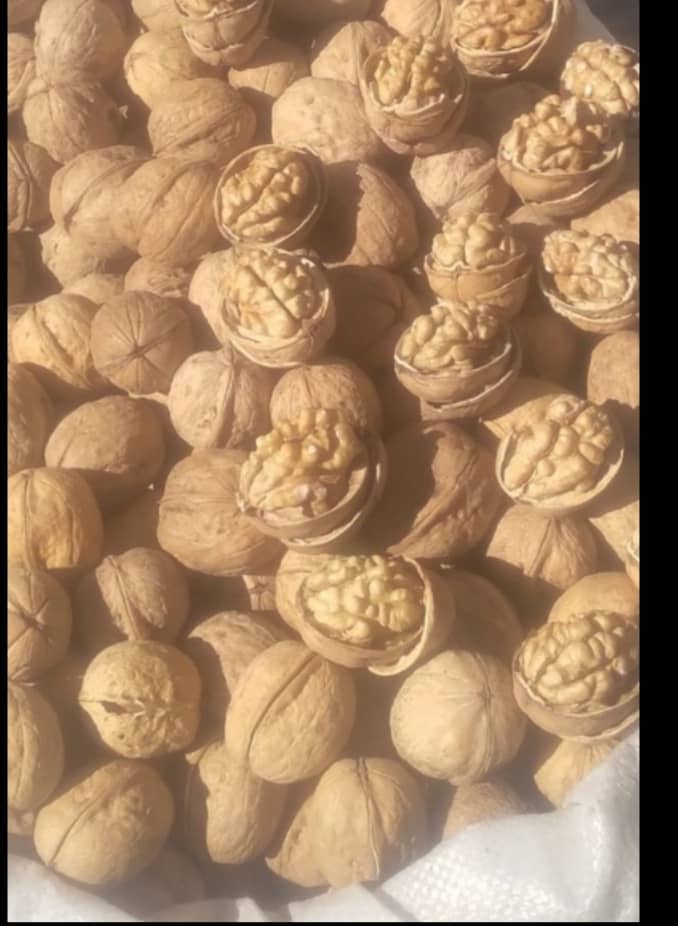 تصویر 1 از گردو آراد افشار قیمت