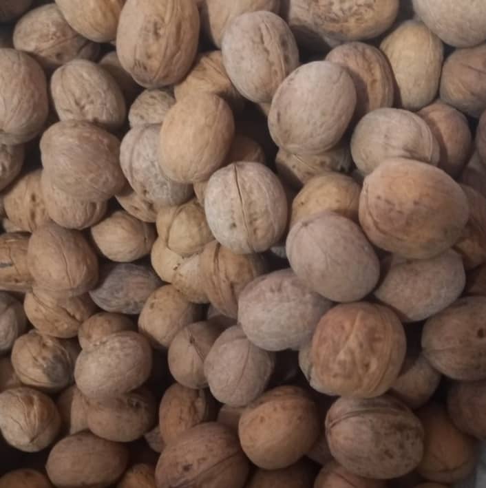تصویر 4 از گردو آراد افشار قیمت