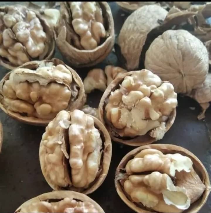 تصویر 2 از گردو آراد افشار قیمت