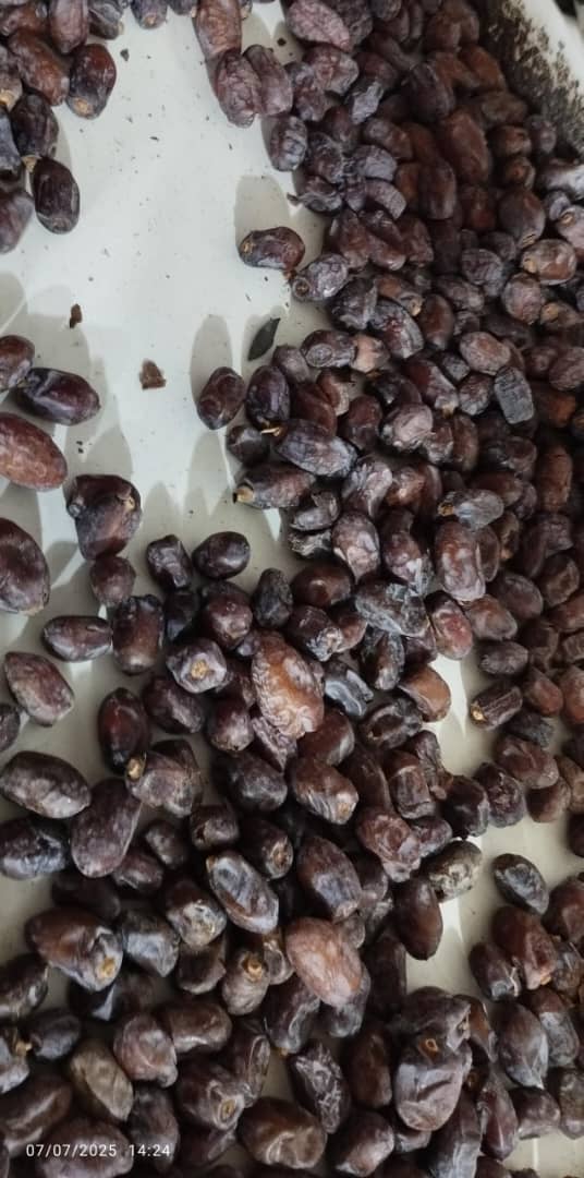 تصویر 1 از خرما کلوته روغن زده صادراتی ایران + قیمت ارزان