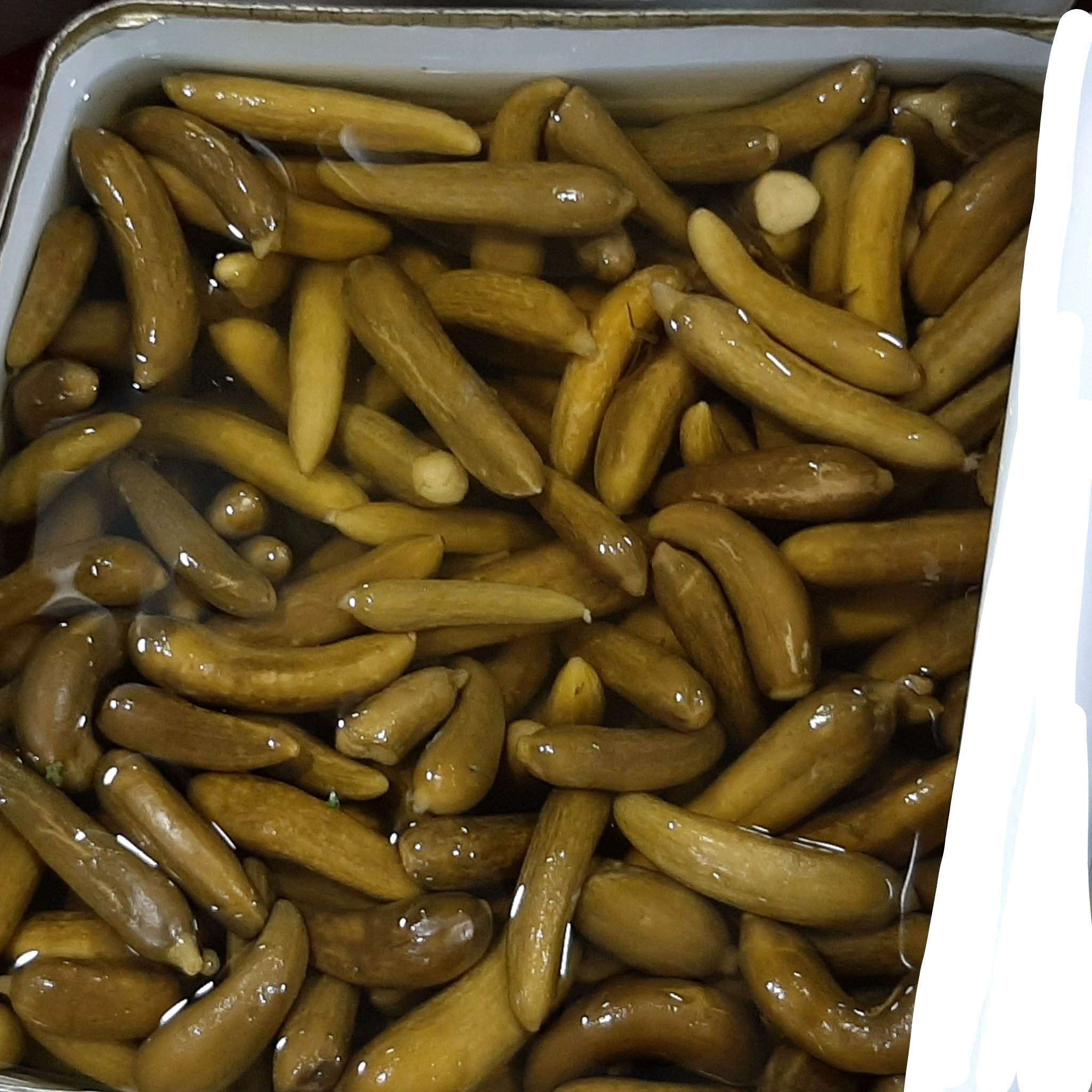 تصویر 1 از خرید خیارشور سوپر ویژه صادراتی حلب و دبه
