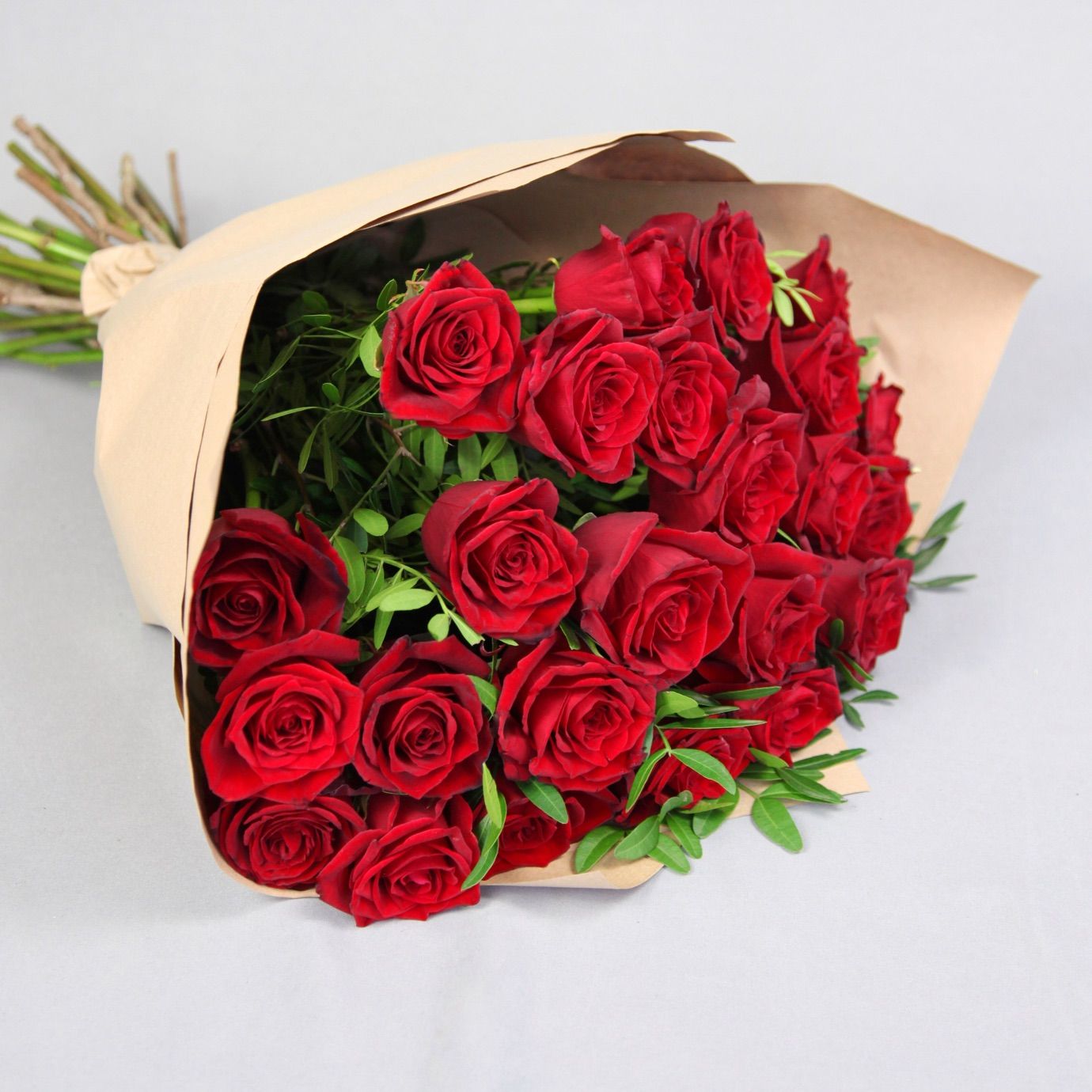 تصویر 6 از سفارش عمده محبوب‌ ترین گل رز