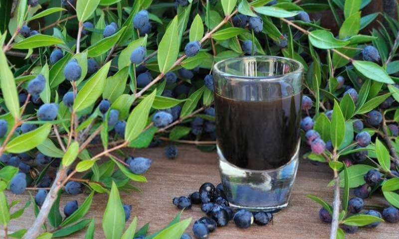تصویر 1 از خرید فروش اسانس مورد + قیمت فروش استثنایی