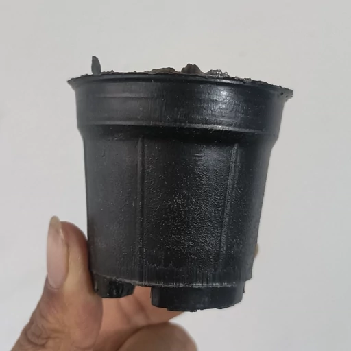تصویر 2 از فروش گسترده گلدان پلاستیکی سایز 12