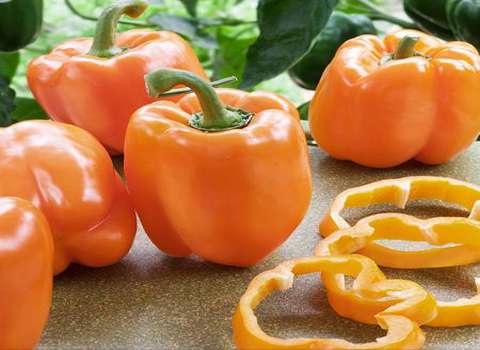 تصویر 1 از قیمت فلفل دلمه ای رنگی + فروش استثنایی ارگانیک
