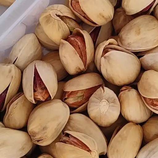 پسته خام سبز ویژه مصرف روزانه