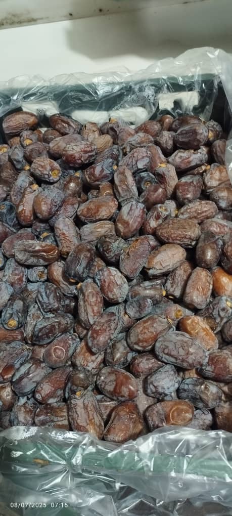 خرید خرما کلوته