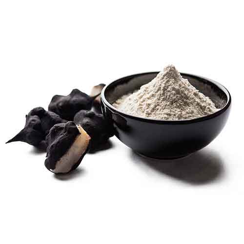 سینگهارا + قیمت عمده