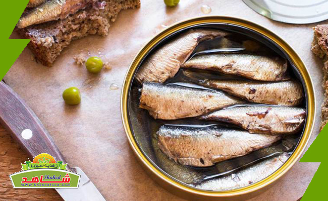 کنسرو ماهی خوشمزه با فروش شرایط استثنایی