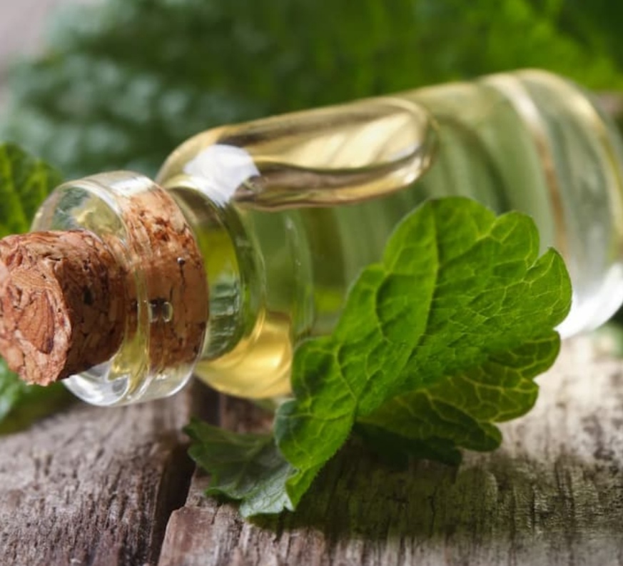 تصویر 1 از خرید ارزان عرق نعنا ممتاز قمصر برای نفخ