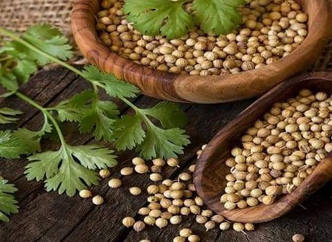 تصویر 4 از خرید آسان بذر گشنیز