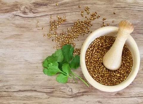 تصویر 2 از خرید آسان بذر گشنیز