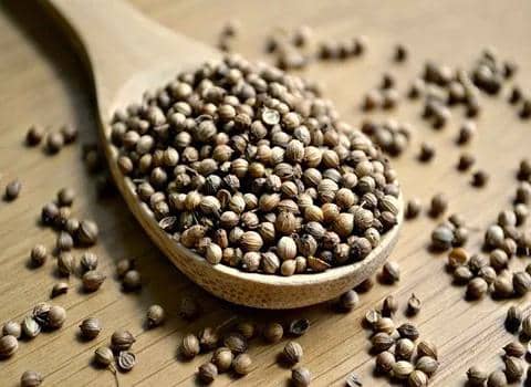 تصویر 3 از خرید آسان بذر گشنیز