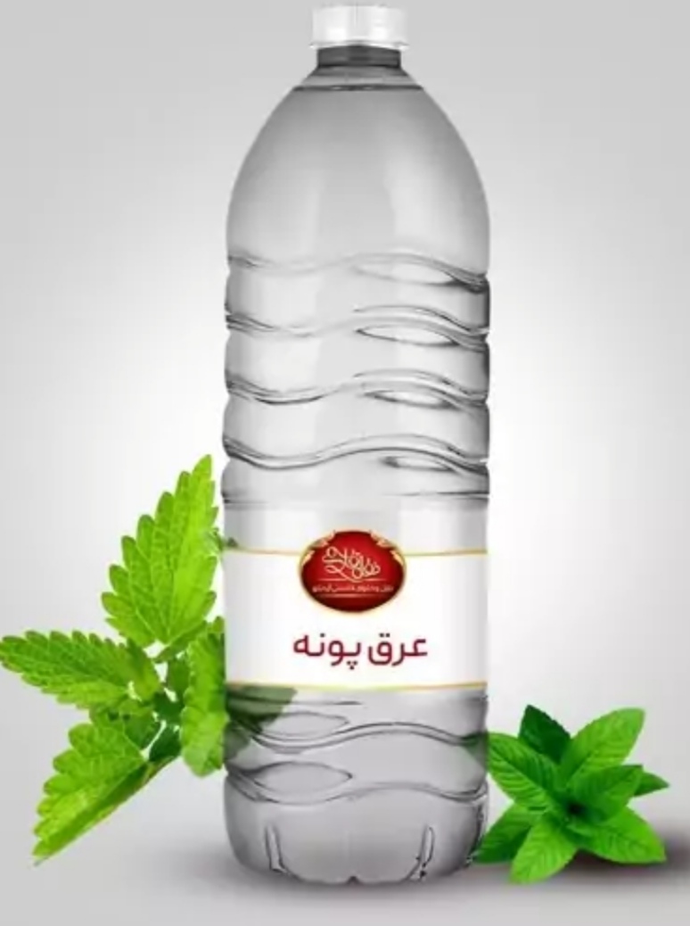 تصویر 2 از پونه خشک اعلا ارگانیک خرید