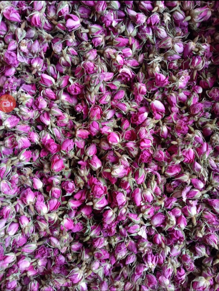 عمده فروشی غنچه گل محمدی تبریز با کیفیت عالی و قیمت مناسب
