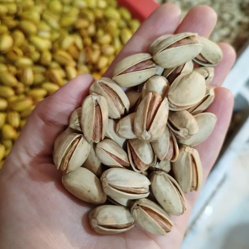 تصویر 1 از قیمت پسته لوکس احمد آقایی + خرید باور نکردنی