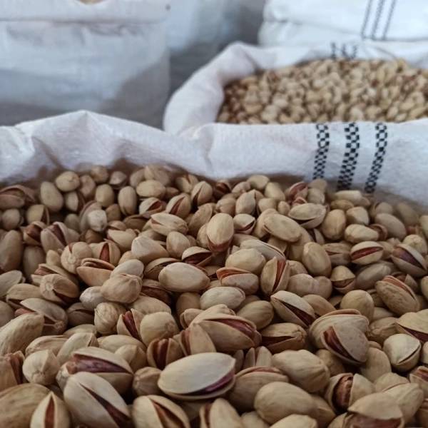 تصویر 2 از قیمت پسته احمد آقایی درجه یک با کیفیت ارزان + خرید عمده