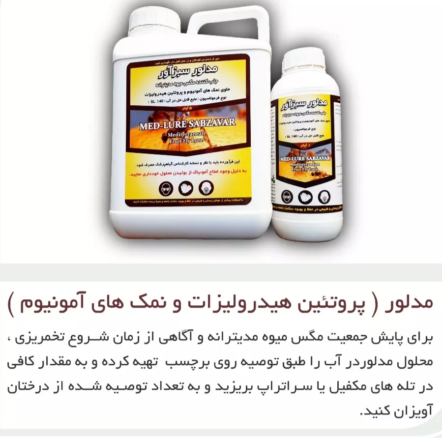 تصویر 1 از خرید جلب کننده مگس مدیترانه