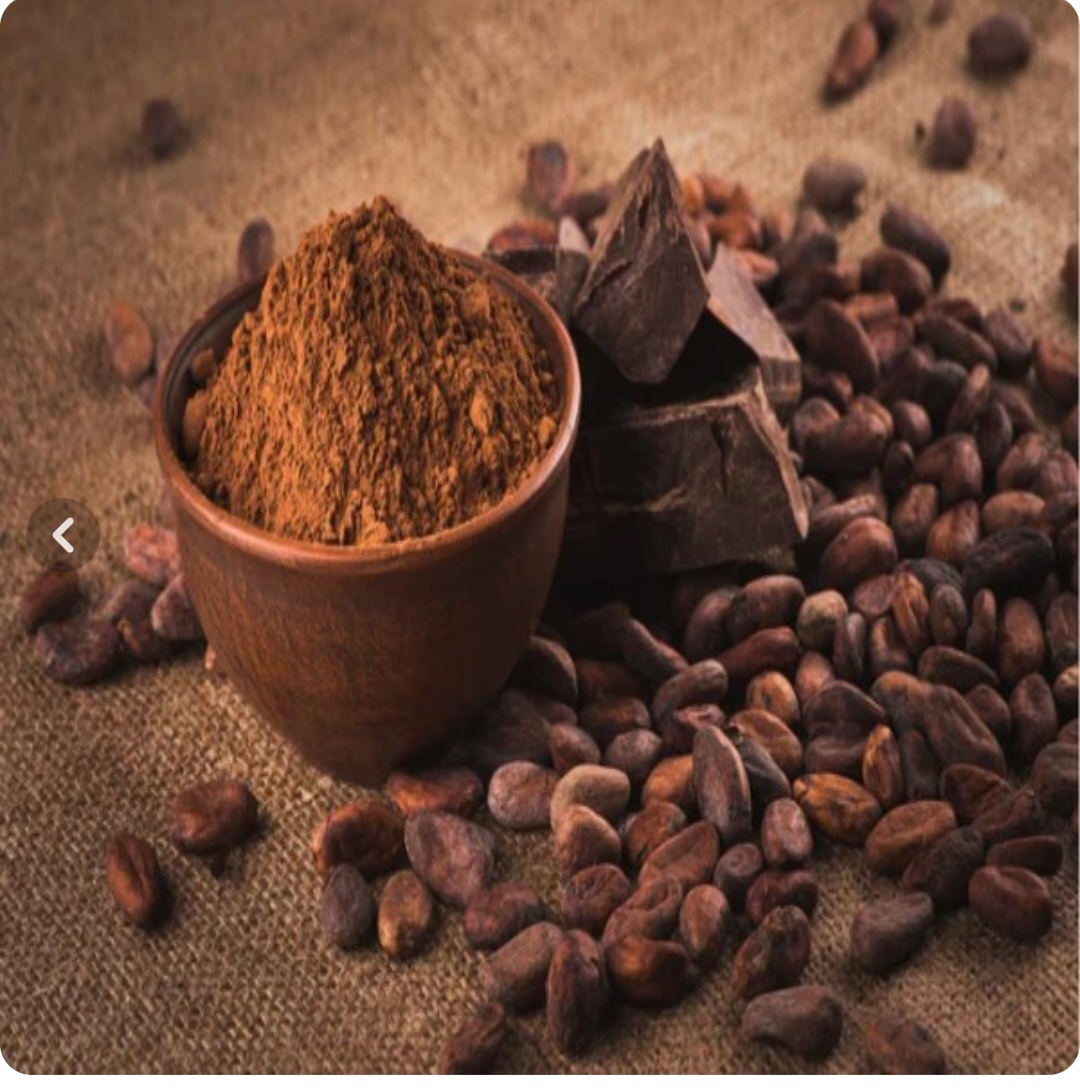 پودر کاکائو قیمت
