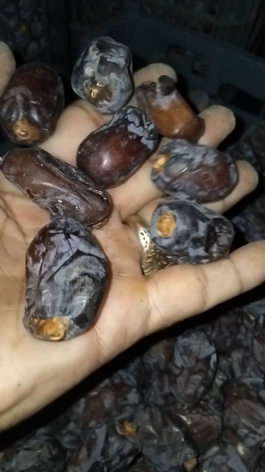 تصویر 3 از قیمت و خرید خرما کلوته روغنی صادراتی جیرفت کرمان