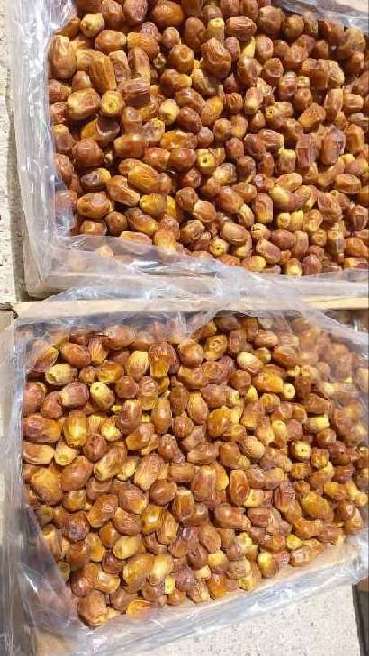 تصویر 1 از خرما زاهدی صادراتی
