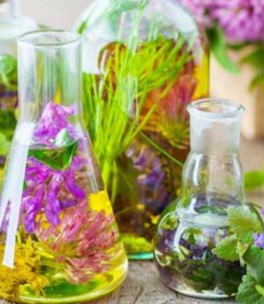 تصویر 1 از خرید و قیمت عمده عرق شبدر برای کم خونی
