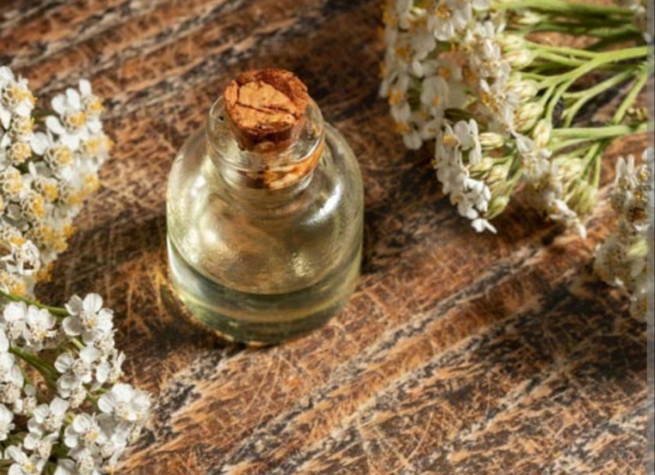 تصویر 3 از خرید و قیمت عرق بومادران برای درد پریود