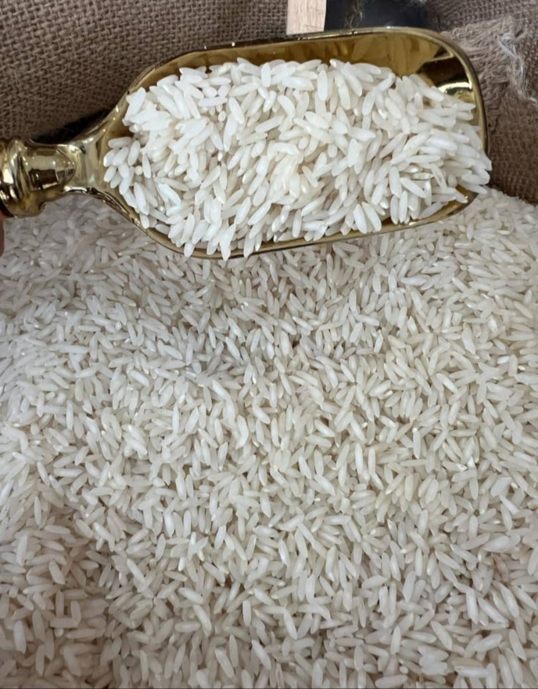 برنج مرغوب ایرانی