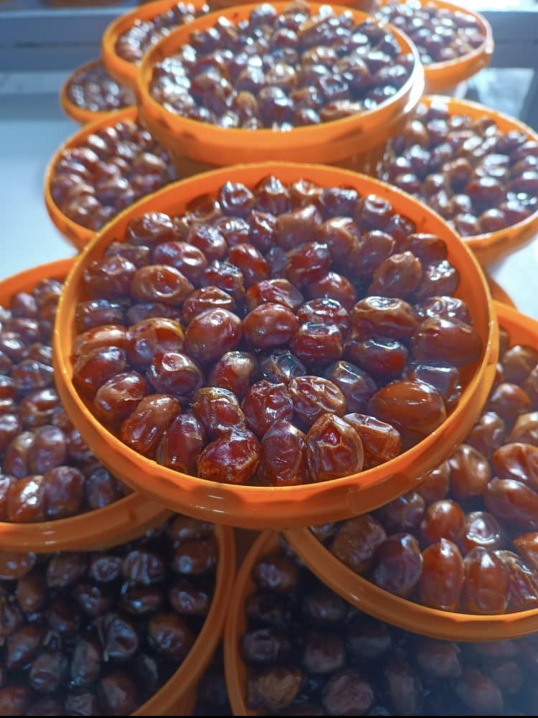 خرما مرغوب جنوب
